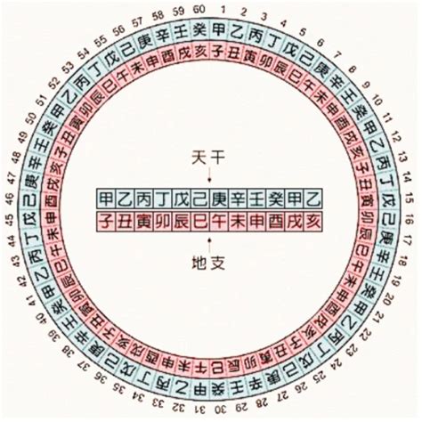 1995 天干地支|天干属性 干支纪年对照表